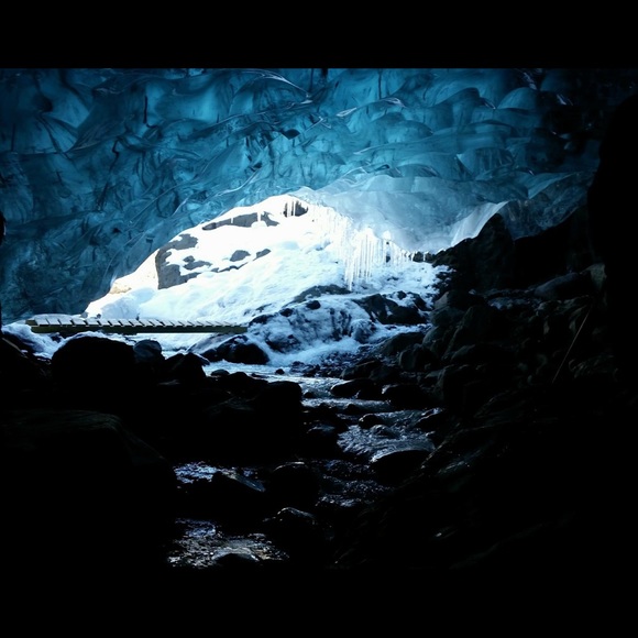 Meet your Posher, Yolie - Picture 4 of 8